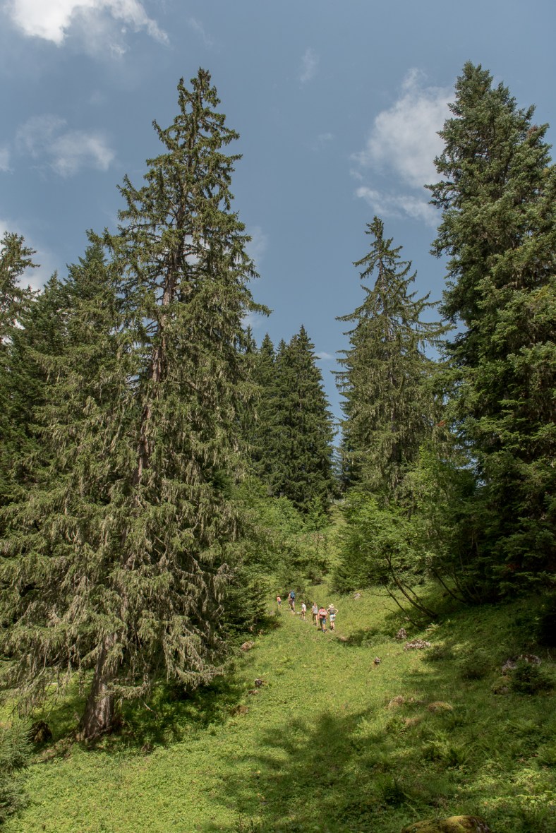 Randonée nature Reportage photo Morzine été 2017 pour les Villages Clubs du soleil